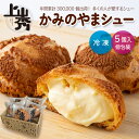 《上山秀 5個入》かみのやまシュー｜年間30万個販売の人気冷凍シュークリーム