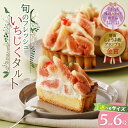 【ふるさと納税】高評価4.94のフレッシュいちじくタルト｜愛知県碧南市・期間限定ギフト