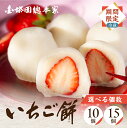 【ふるさと納税】冬限定の金蝶園総本家いちご大福｜大垣市で人気の苺餅